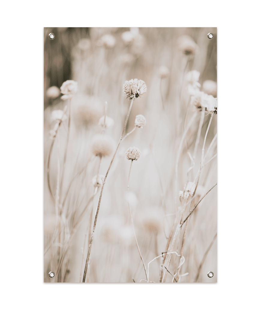 Dried Flower Field Tuinposter (60x90cm)