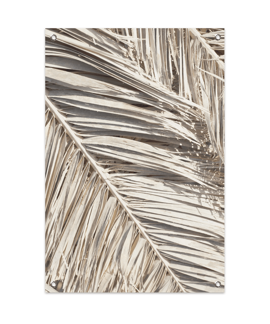 Dried Palm Leaf 1 Tuinposter (60x90cm)