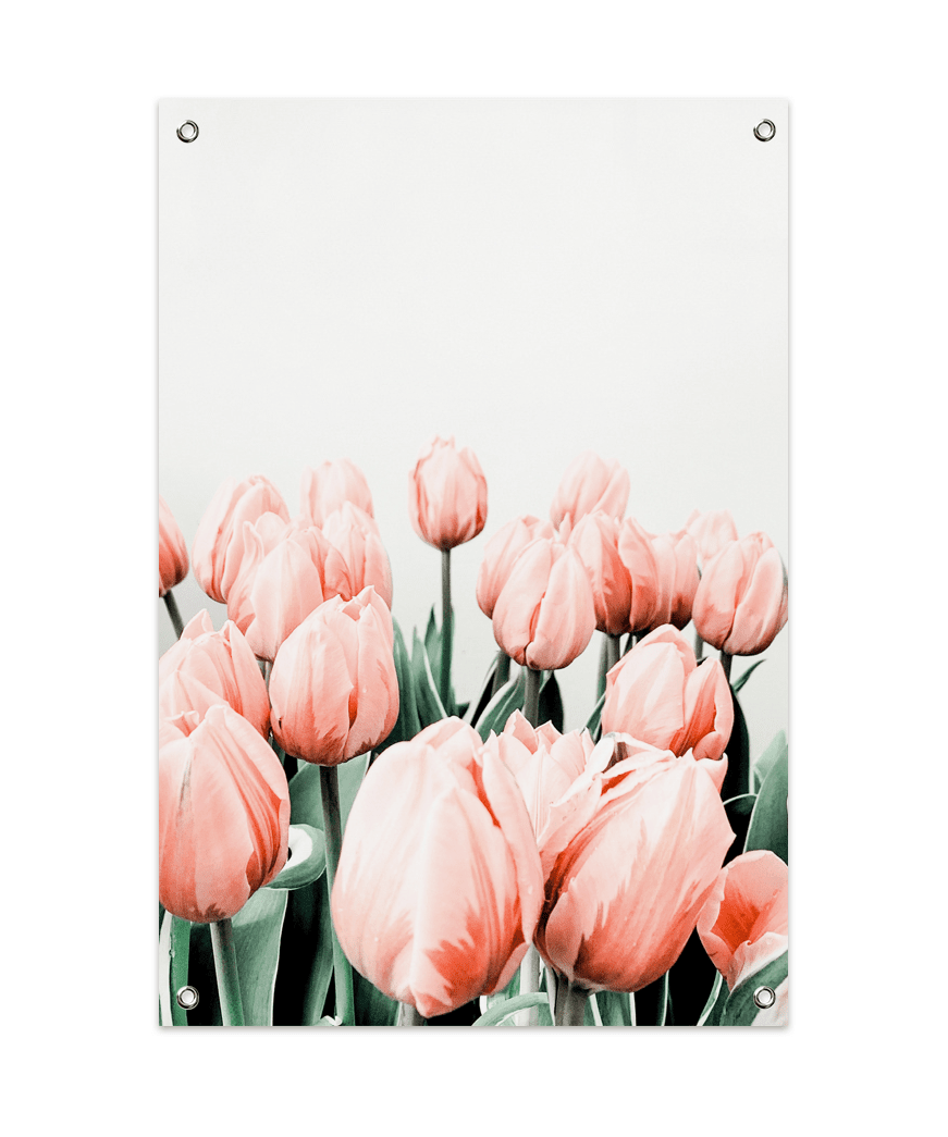 Pink Tulips Tuinposter (60x90cm)
