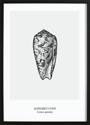 Alphabet Cone Poster