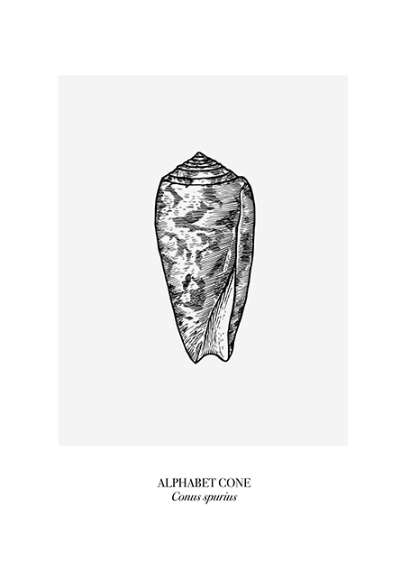 Alphabet Cone Poster