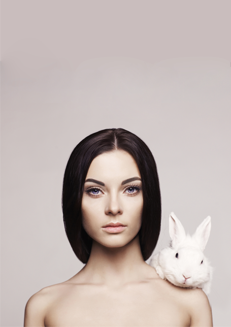 Hi Bunny Poster