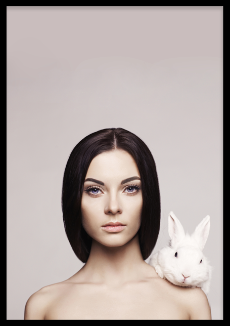 Hi Bunny Poster