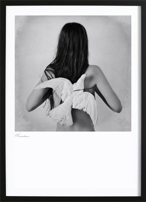 Freedom Poster