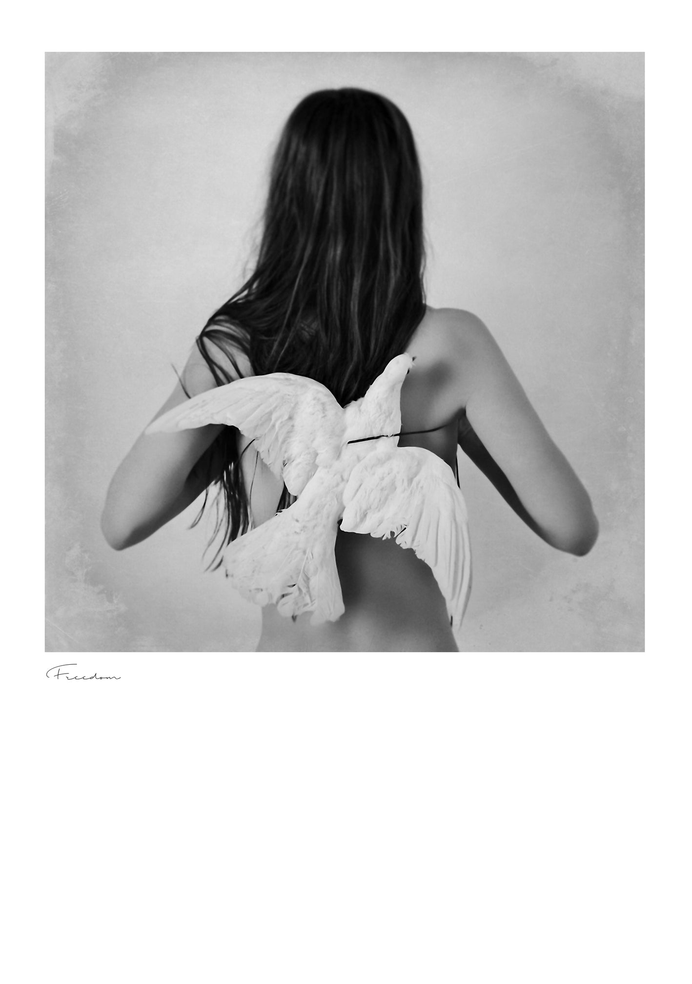 Freedom Poster