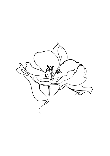 Line Flower Poster