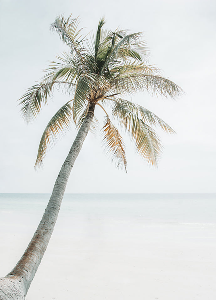 Palm Vacation Poster