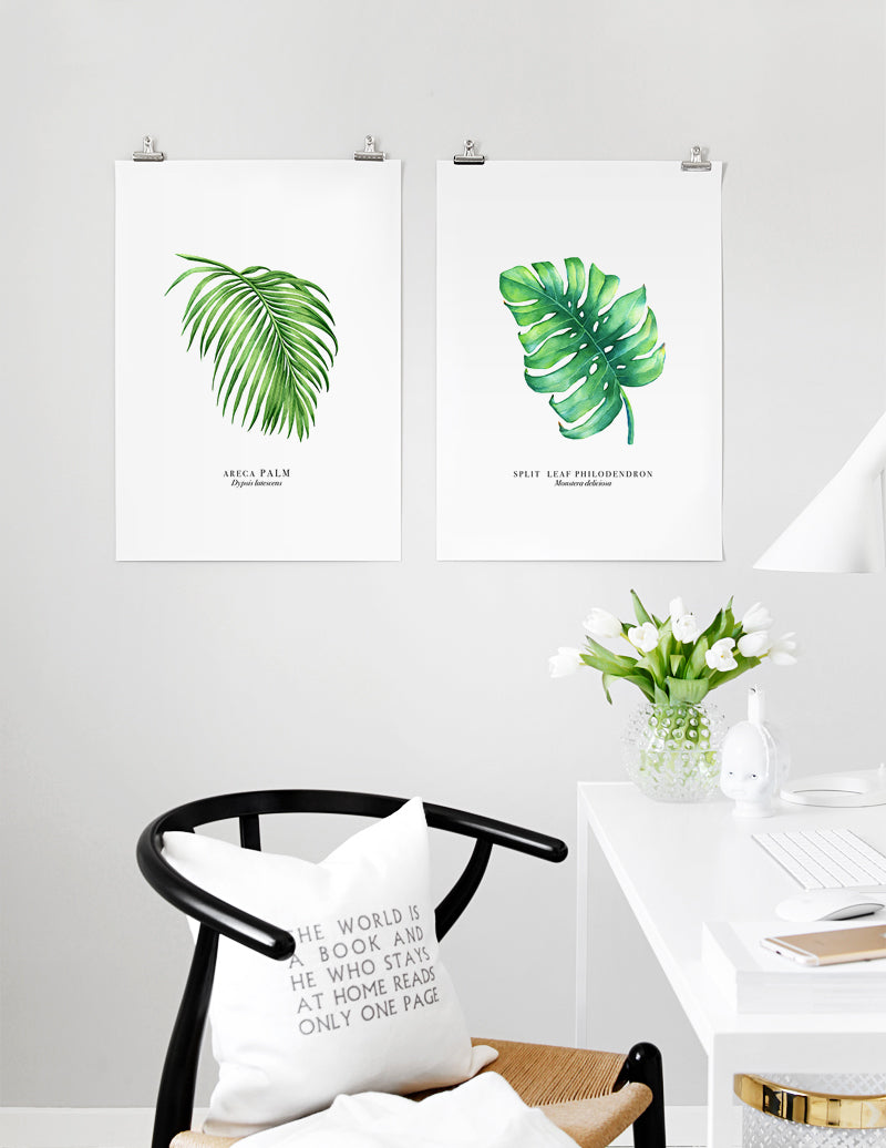 Palm Leaf Poster