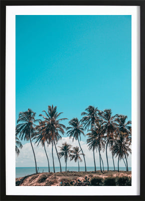 Palms And A Breeze Poster