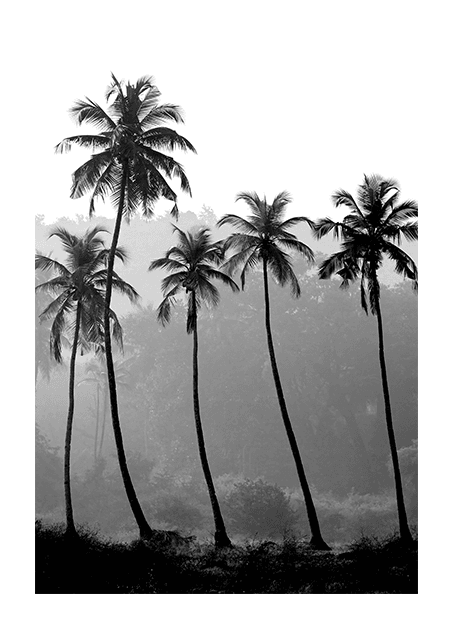 Palmtree Squad Poster