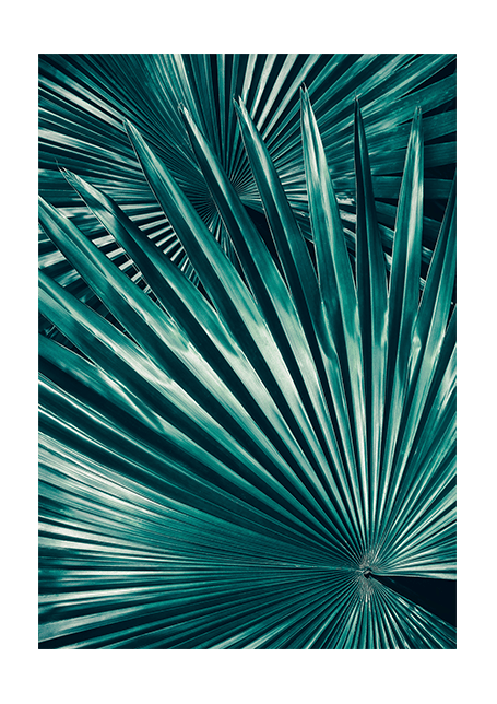 Petticoat Leaves Poster