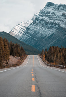 Roadtripper Poster
