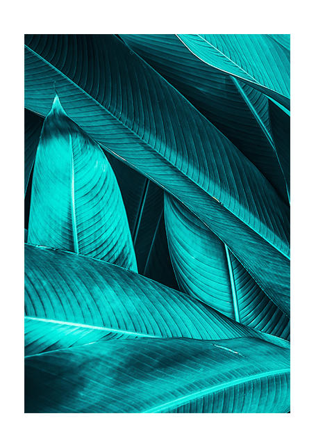 Leaves Tropics Poster