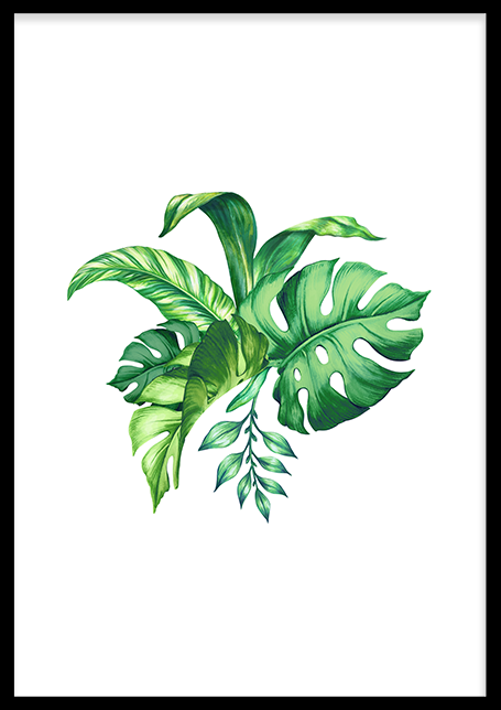 Tropical Leaves Poster