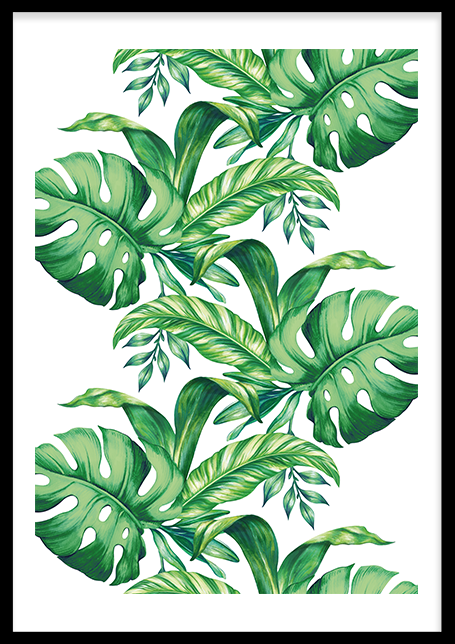 Tropical Leaves 2  Poster