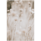 Dried Flower Field Tuinposter (60x90cm)