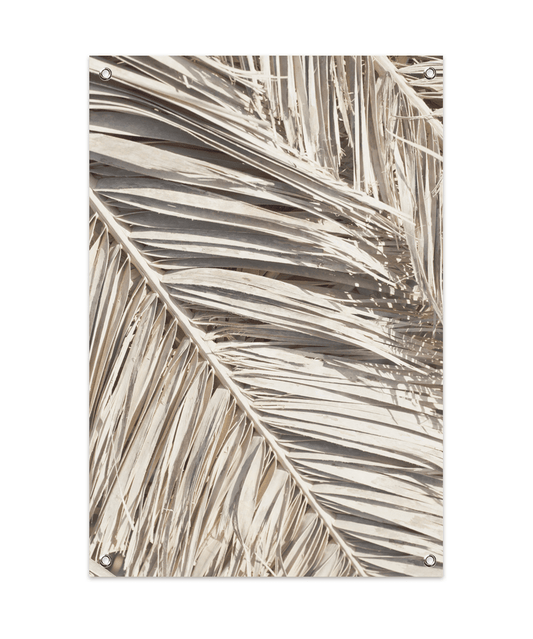 Dried Palm Leaf 1 Tuinposter (60x90cm)