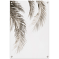 Dried Palm Leaf 2 Tuinposter (60x90cm)