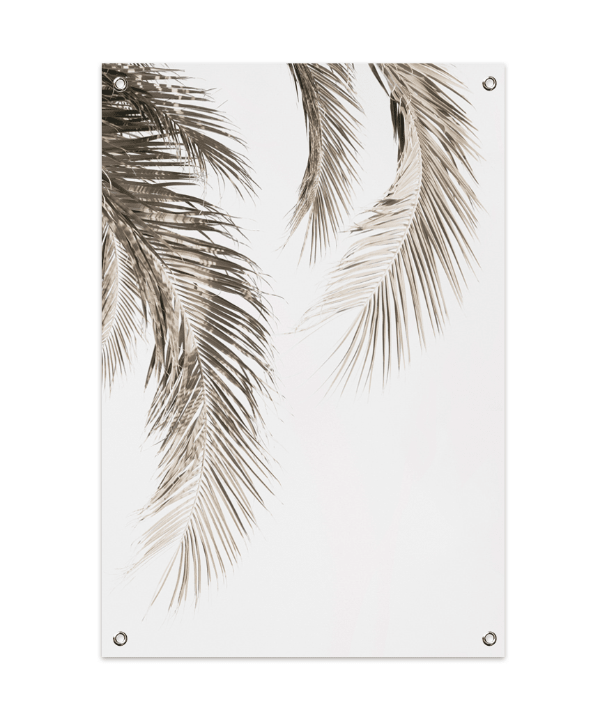 Dried Palm Leaf 2 Tuinposter (60x90cm)