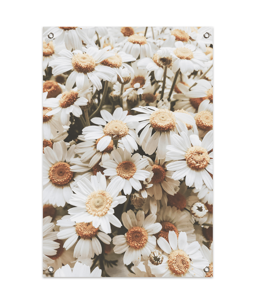 Madeliefjes Tuinposter (60x90cm)