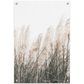 Pampass Grass Tuinposter (60x90cm)
