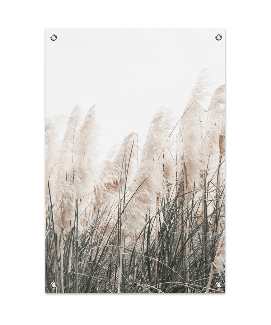 Pampass Grass Tuinposter (60x90cm)