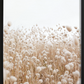 Boho Grass Poster