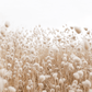 Boho Grass Poster