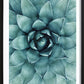 Cactus Flower Poster