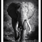 Elephant Spirit Animal Poster