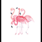 Flamingo's Poster