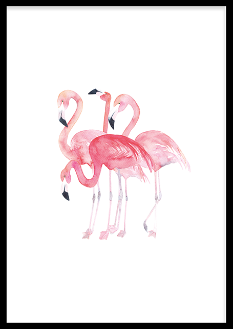 Flamingo's Poster