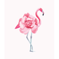Flamingrose Poster
