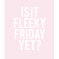 Fleeky Friday Poster