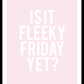 Fleeky Friday Poster