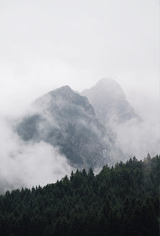 Mountain Fog Poster