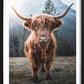 Highland Cow Poster
