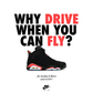 Why Drive? Poster