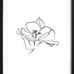 Line Flower Poster