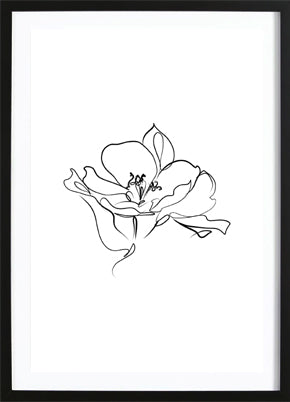 Line Flower Poster