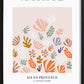 Matisse II Poster