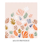 Matisse II Poster