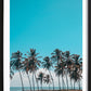 Palms And A Breeze Poster