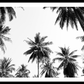 Underneath the palm trees Poster