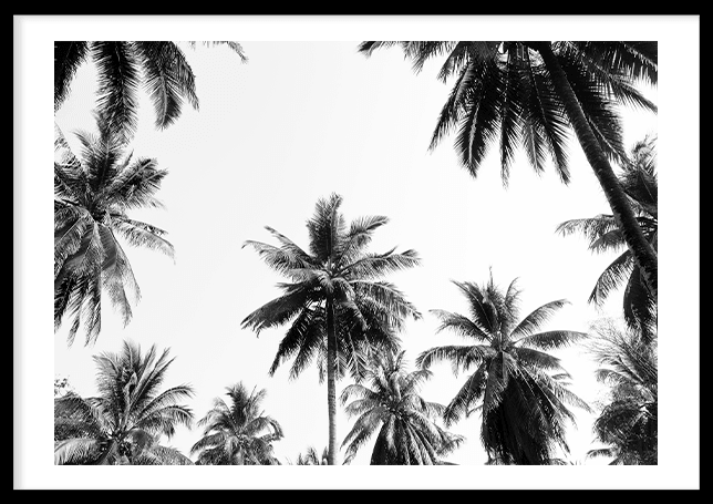 Underneath the palm trees Poster