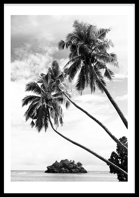 Palmtrees Poster