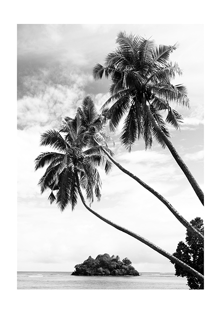 Palmtrees Poster