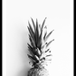 Pineapplecrown Poster