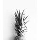 Pineapplecrown Poster