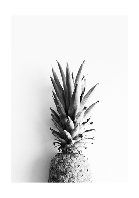Pineapplecrown Poster